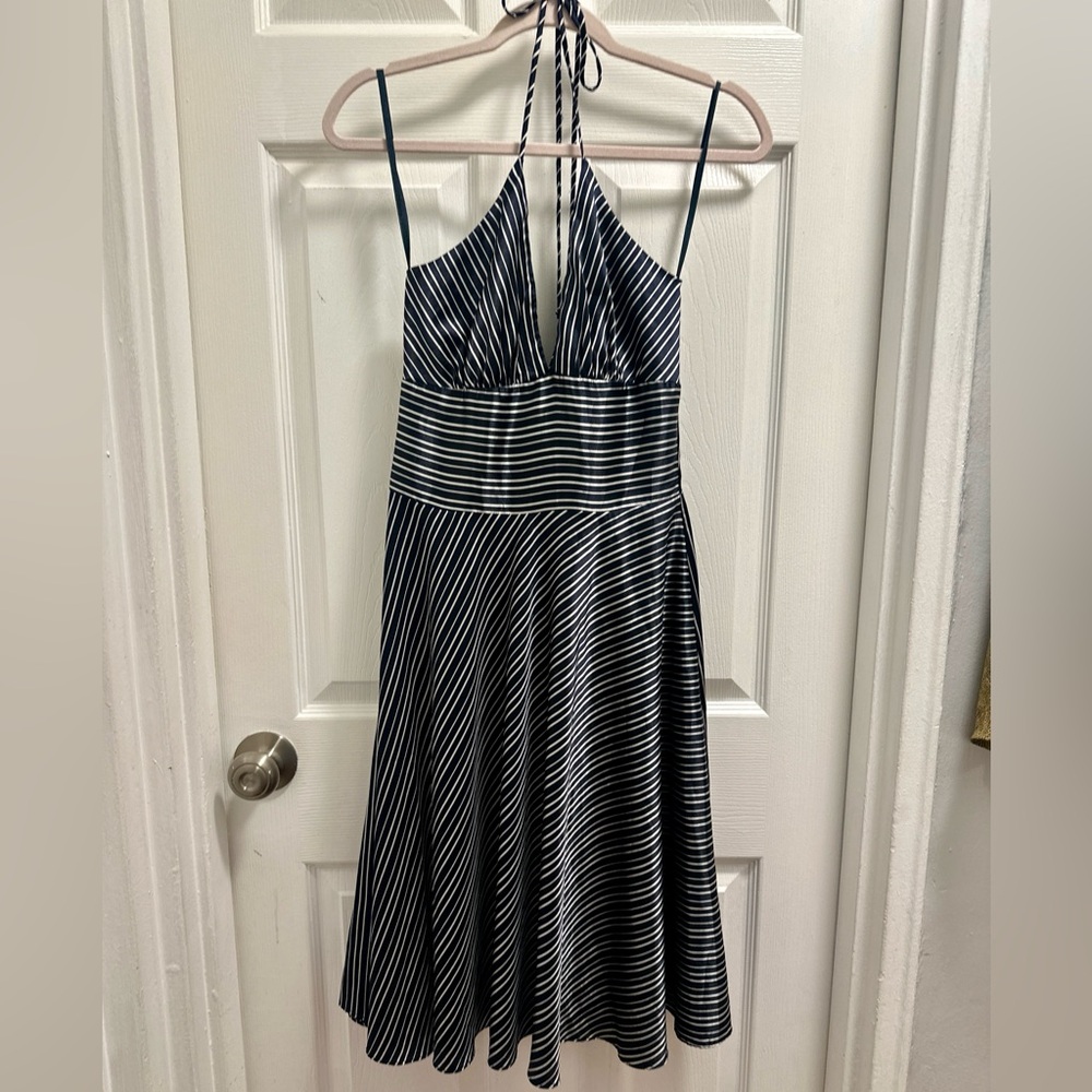 Alyn Paige Navy and White Backless Dress